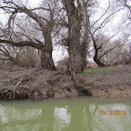 IMG_1500.JPG