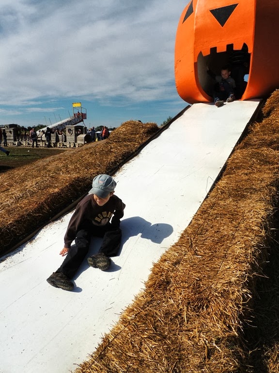 [DSCN6674%255B4%255D.jpg]