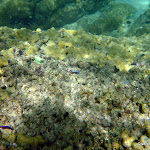 DRK 42nd trip 1-5-12 - P1150294.JPG