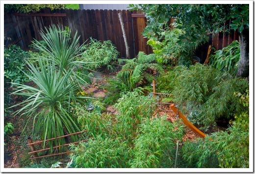 First rain in six months