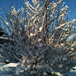 page14-1007-full.jpg