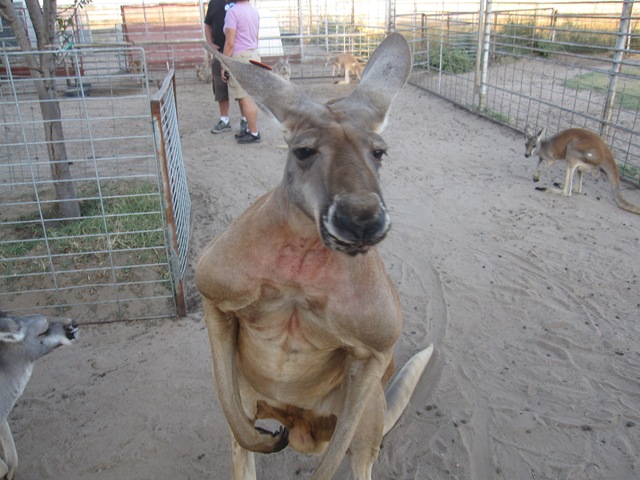 [IMG_8585%255B2%255D.jpg]