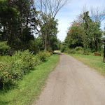 DSC_2371.JPG