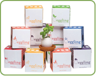 Wee ceramic eggs filled with soil make adorable starter planters. Eggling, about $8.49, eggling.com for stores. Wee ceramic eggs filled with soil make adorable starter planters. Eggling, about $8.49, eggling.com for stores.