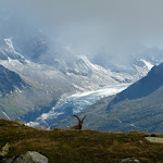 Le glacier d'Argenti�re