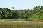 DSC07219.JPG
