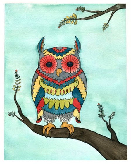 owl6