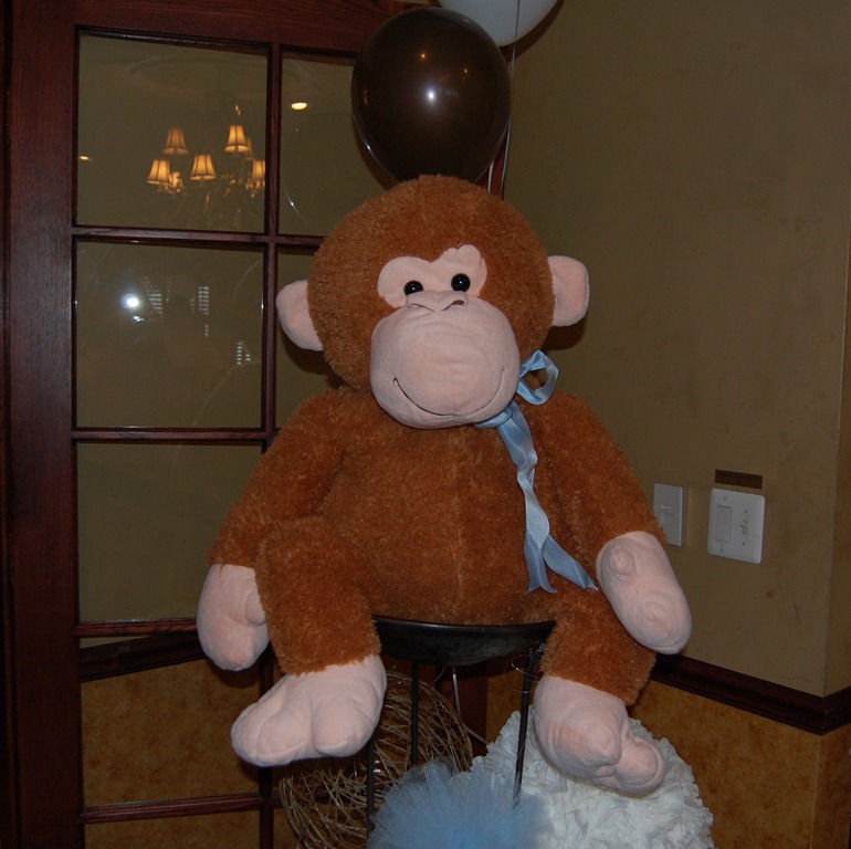 [DSC_00344.jpg]