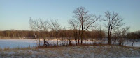 021312170609-1.jpg