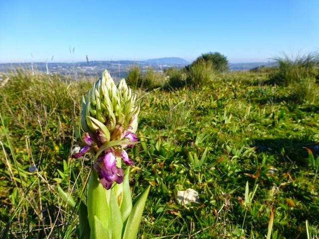 [P1140137%255B1%255D.jpg]