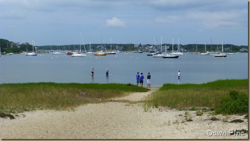 cape cod_084