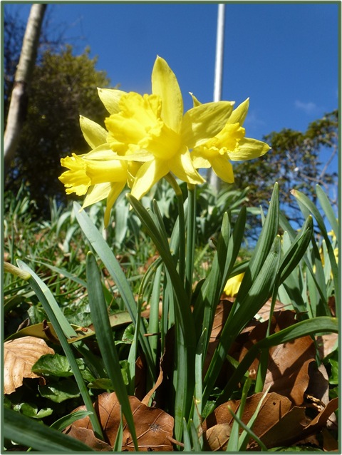 [greenbank.borders%2520007%255B4%255D.jpg]
