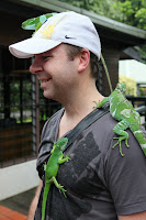 Steve and the geckos