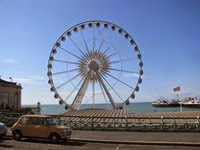 IMG_3503 IMG_3503