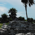 DSC_8634.JPG