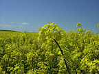 DSCN4616.JPG