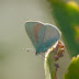 P1270444