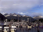 Valdez Harbor by Bearfoot Guides