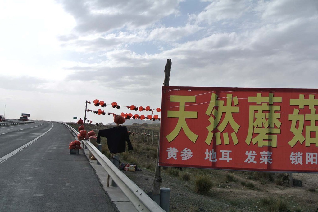 [DSC_3421%255B4%255D.jpg]