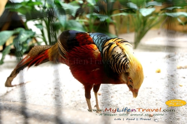 Langkawi Wildlife Park Langkawi Wildlife Park
