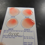 DSCN5502.JPG
