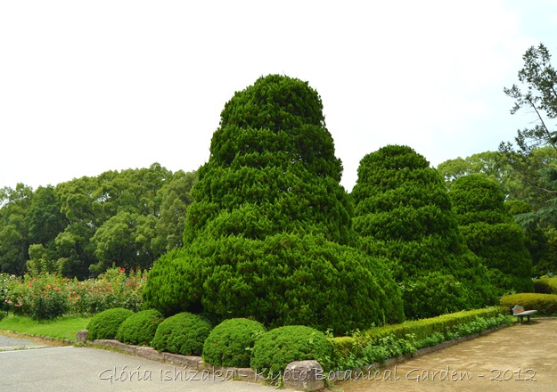Glória Ishizaka -   Kyoto Botanical Garden 2012 - 106