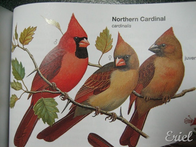 [gG%2520087%255B8%255D.jpg]