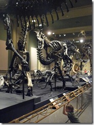 Kenosha Dinosaur Museum 020
