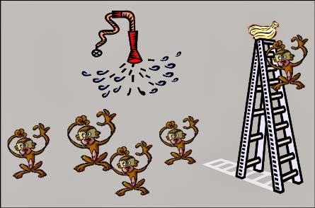 [jaula%2520de%2520macacos%255B2%255D.jpg]