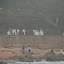 Qingdao - Plage N2 - En attendant son tour...