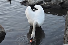 DSC_0248.JPG