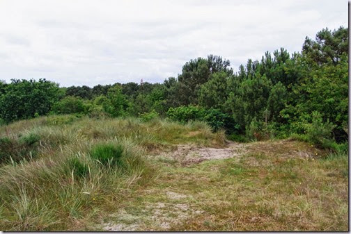 vlieland-4 vlieland-4