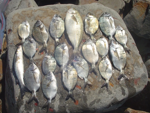 [DSC02040%255B4%255D.jpg]