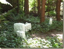 DSCF7409