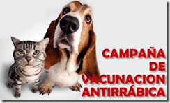 Continúa la campaña de vacunación antirrábica para perros y gatos