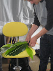 Taping leaves together to add a leaf-shaped shadow.