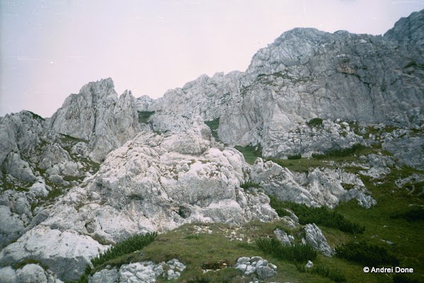 00277.jpg 00277.jpg