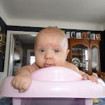 SAM_0633.JPG