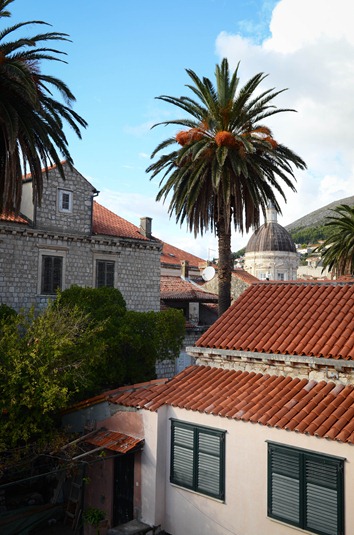 [Wall%2520walk12%255B4%255D.jpg]