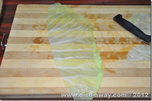 Stuffed Cabbage Rolls Recipe by www.dish-away.com