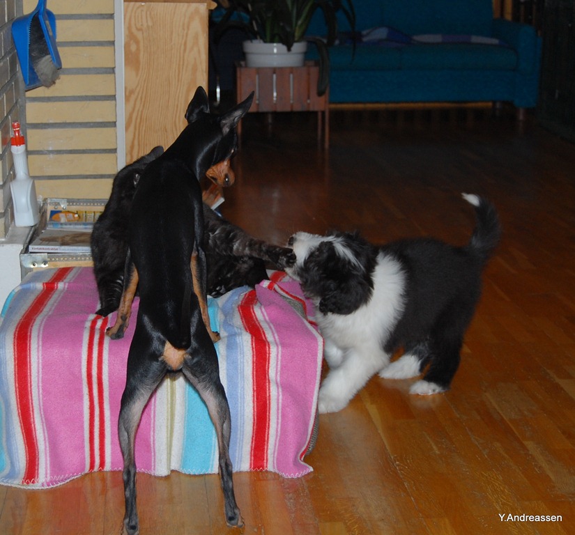 [DSC_7718%255B4%255D.jpg]