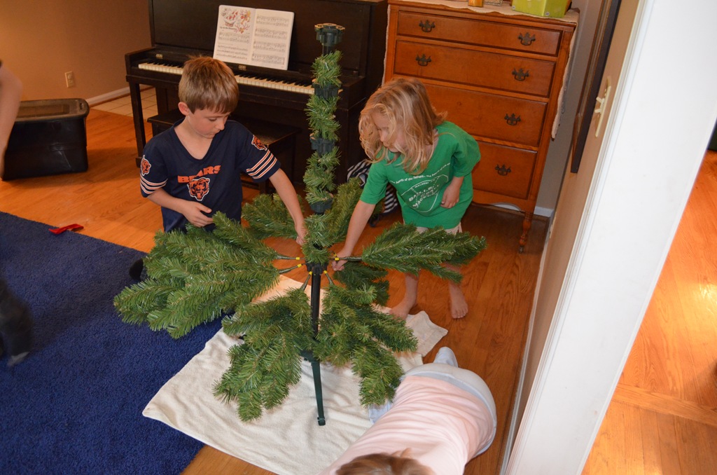 [DSC_0005%255B7%255D.jpg]