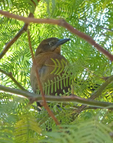 [P10201172.jpg]