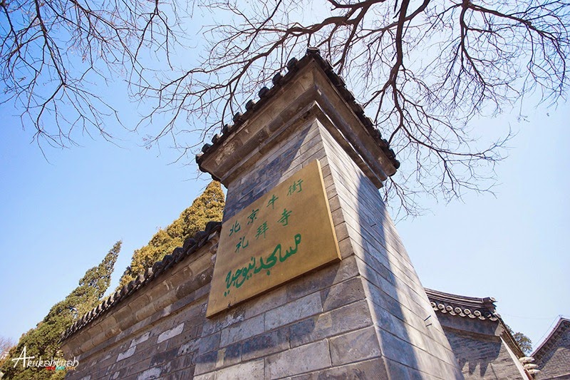 DSC02530 DSC02530
