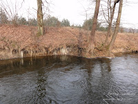 rz. Wełna
