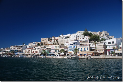 DSC_0723 DSC_0723