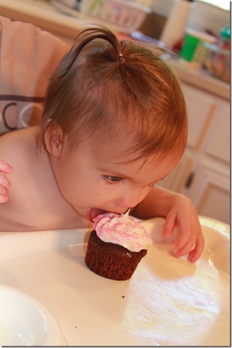 IMG_2500 IMG_2500