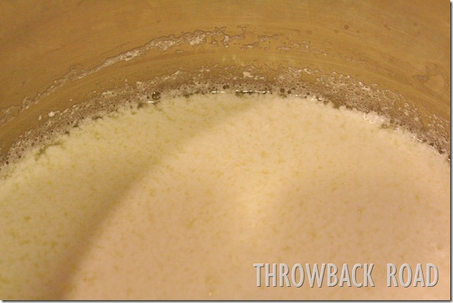 farmers cheese 016