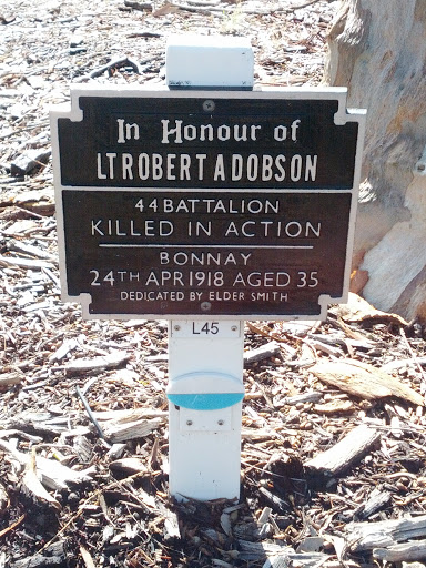 Lieutenant Robert T A Dobson