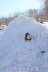 Ummm.... What do they say about what goes up must come down?  Help me, Franny!